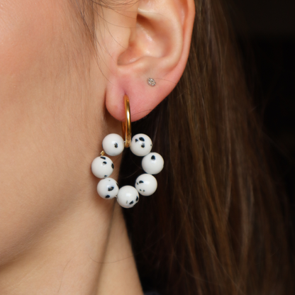 Cercei, Baroc Dalmatien